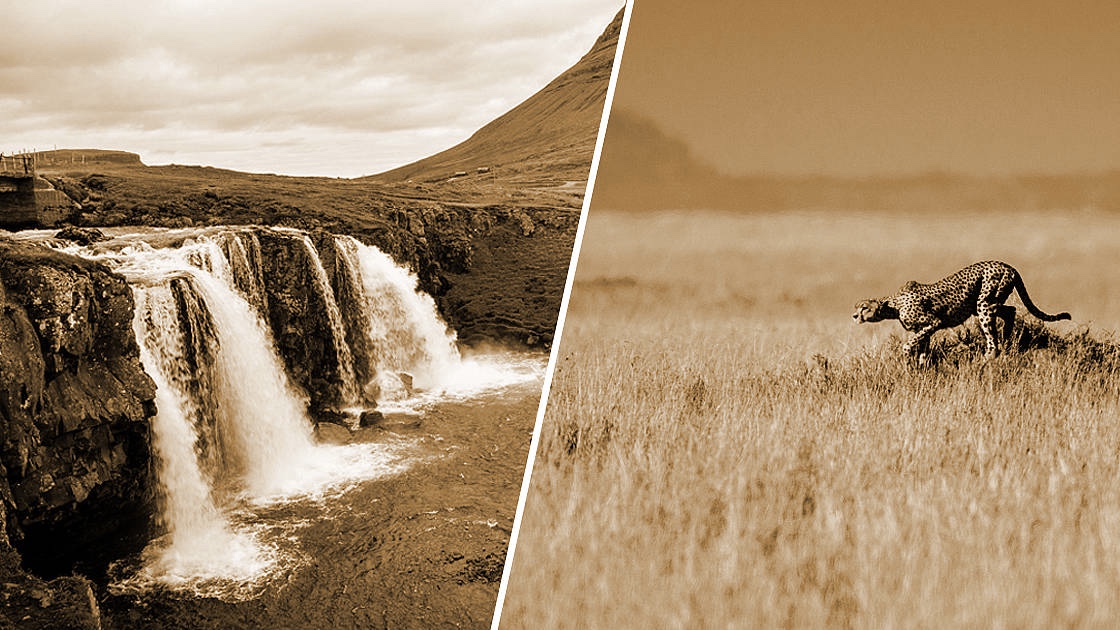 Projektmanagement: Wasserfall-Methode versus Agil